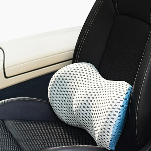 Virysa Car Headrest & Lumbar Support